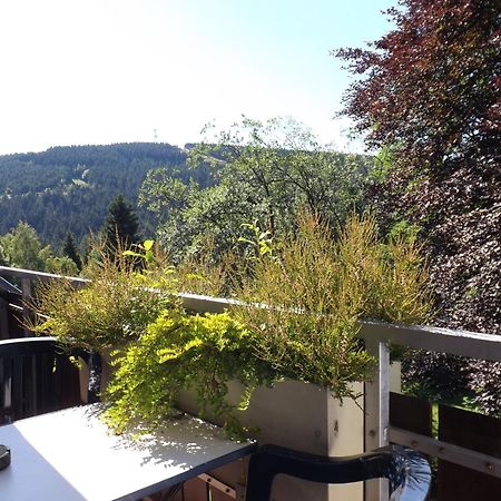 Villa Residenz Bocksberg-Blick & St. Florian Goslar Exterior foto